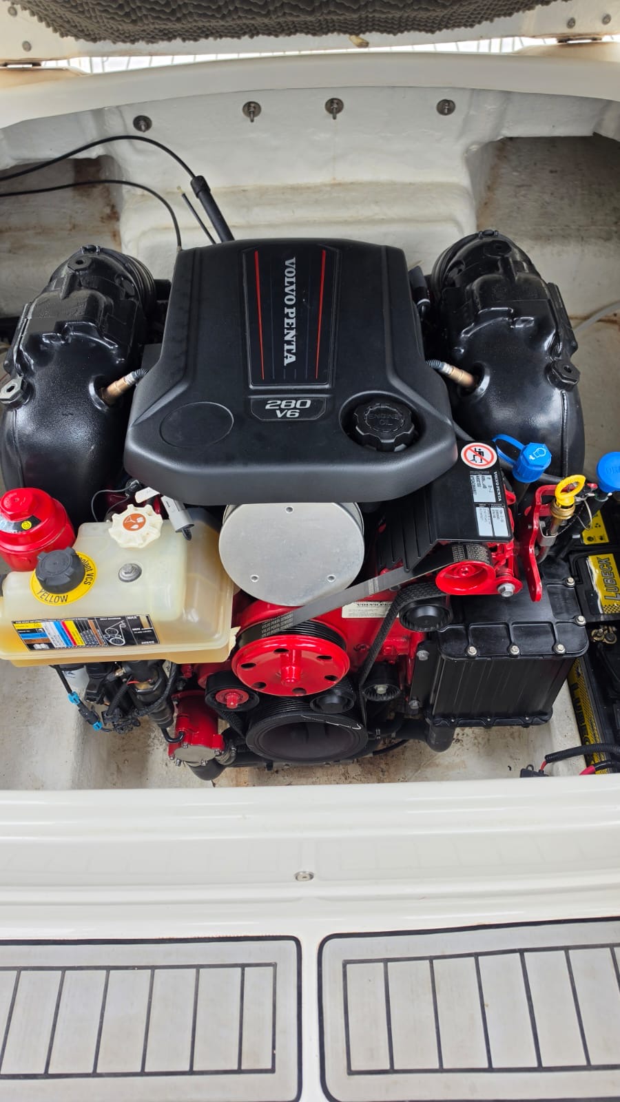 Canestrari Cuddy 245 2023 Mercruiser 250 hp B III